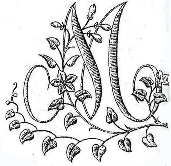 Вышивка Монограммы гладью