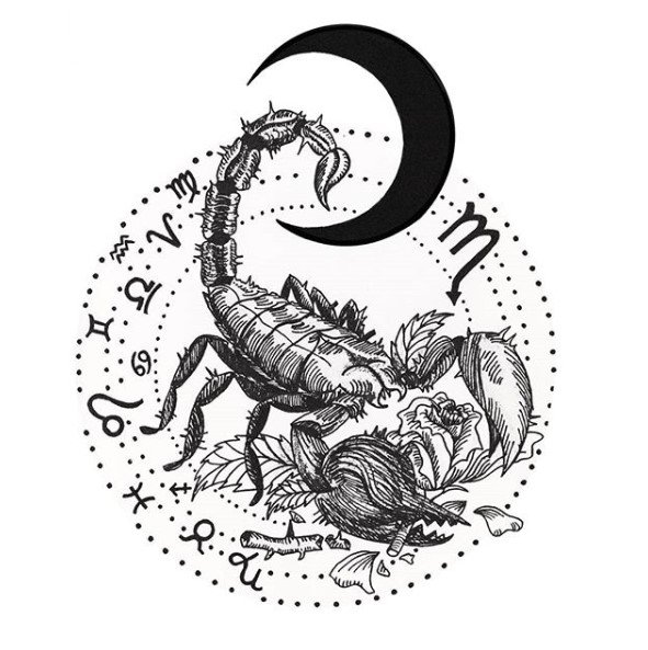 Знак зодиака Скорпион тату эскизы