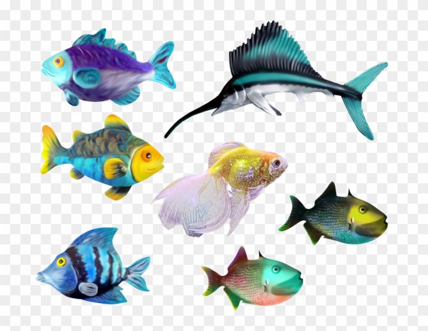 Аквариумные рыбы для детей. Рыбки. Морские рыбки. Рыбки на белом фоне. Аквариумные рыбки.