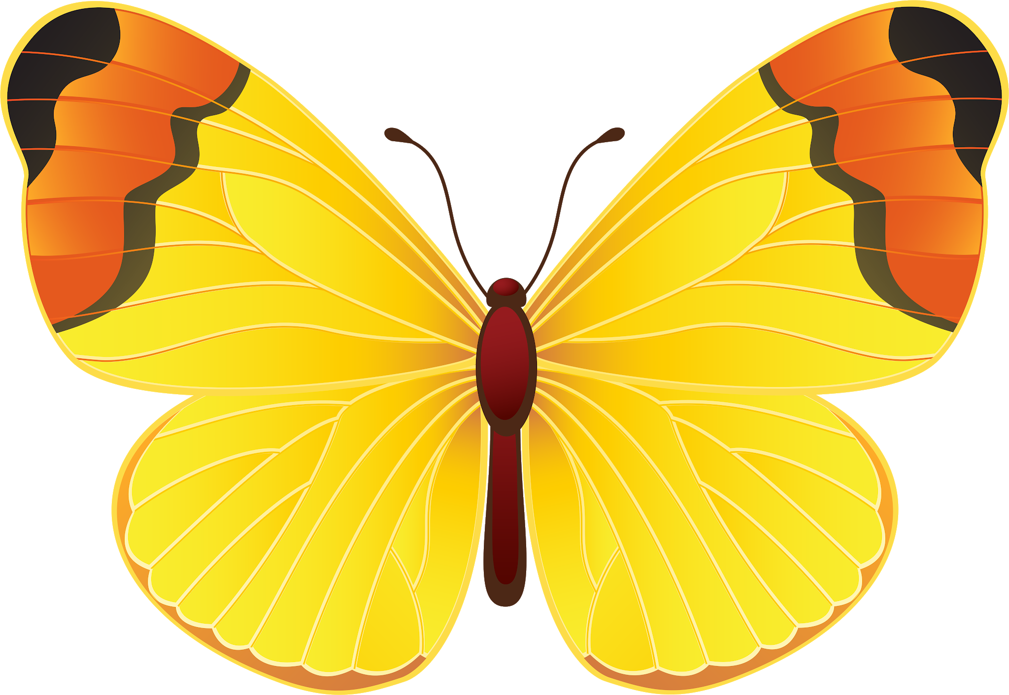 Mariposas amarillas significado
