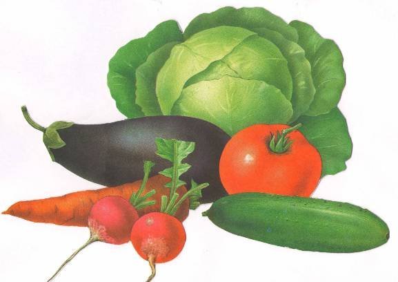 Овощи помидоры огурцы капуста