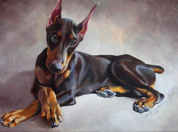 Немецкий пинчер акварель