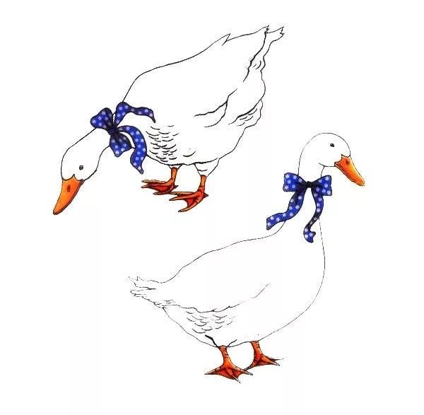 Гуси лебеди на белом фоне