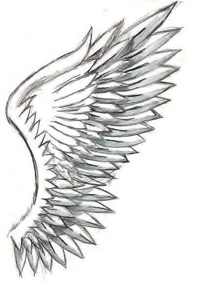 Красивые Крылья трафарет