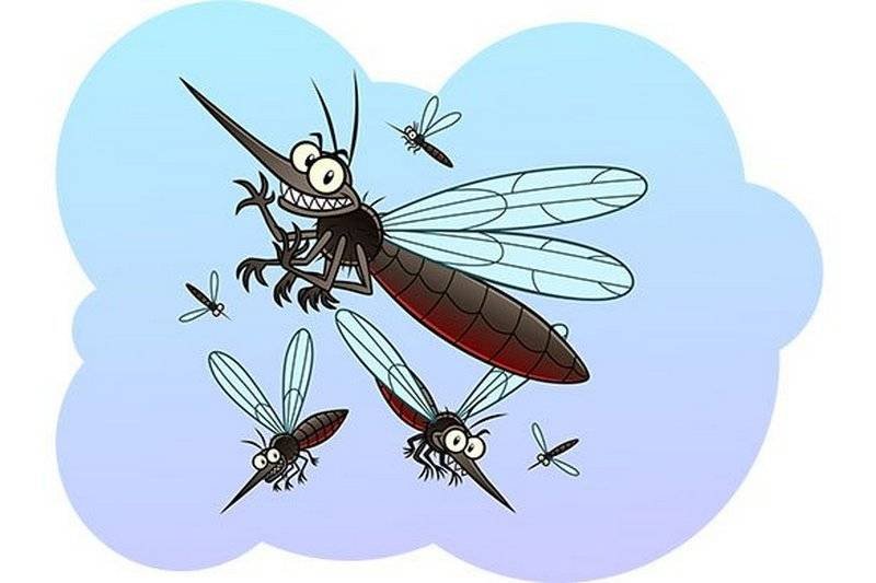 Мухи комары целый день жужжат. Комар. Комарик для детей. Комар мультяшный. Комар пищит.