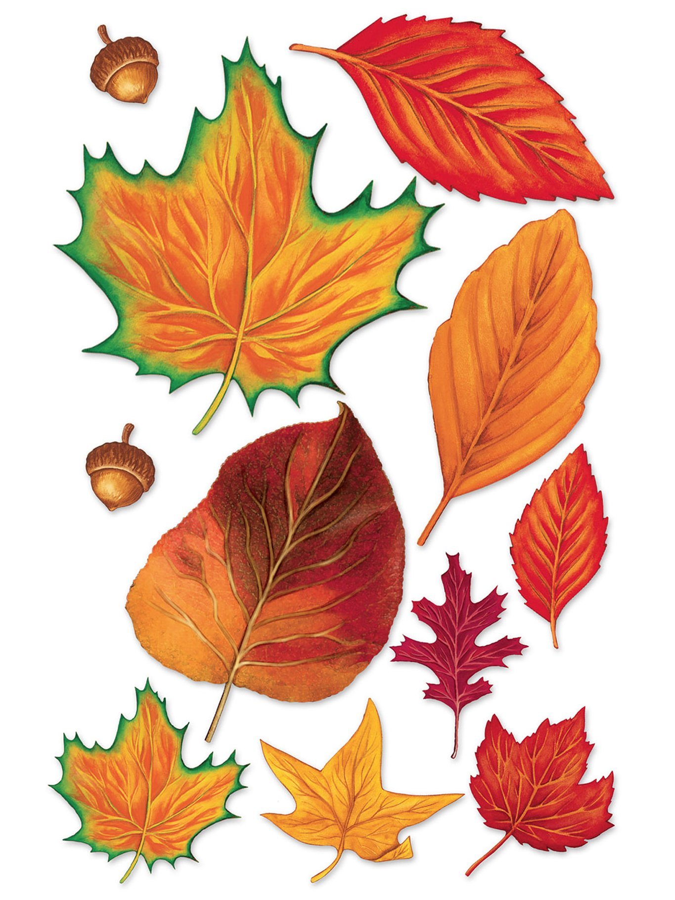 Звук листьев для детей. Осенние листья. Осенние листочки. Осень разноцветные листья. Цветной лист.