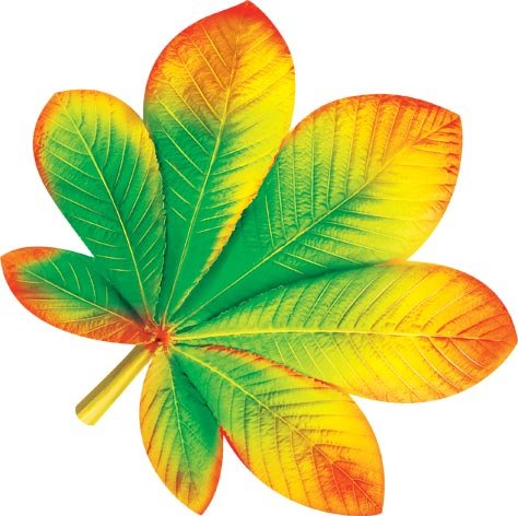 Красивые цветные листья для вырезания