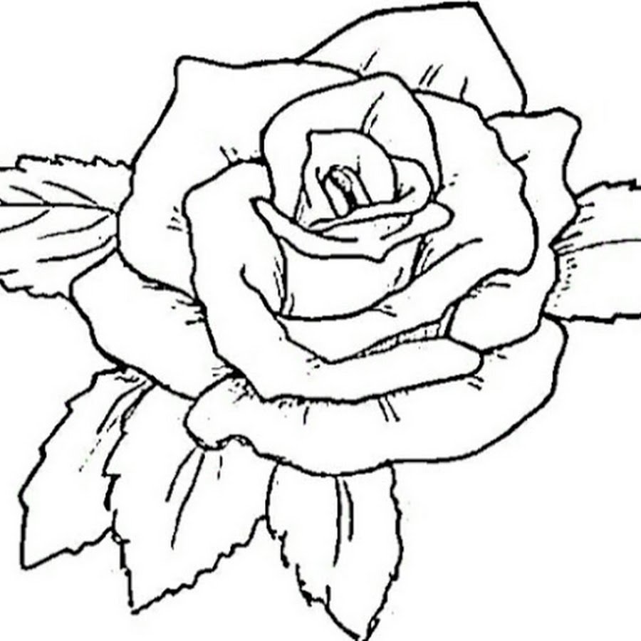 Роза шаблон для рисования