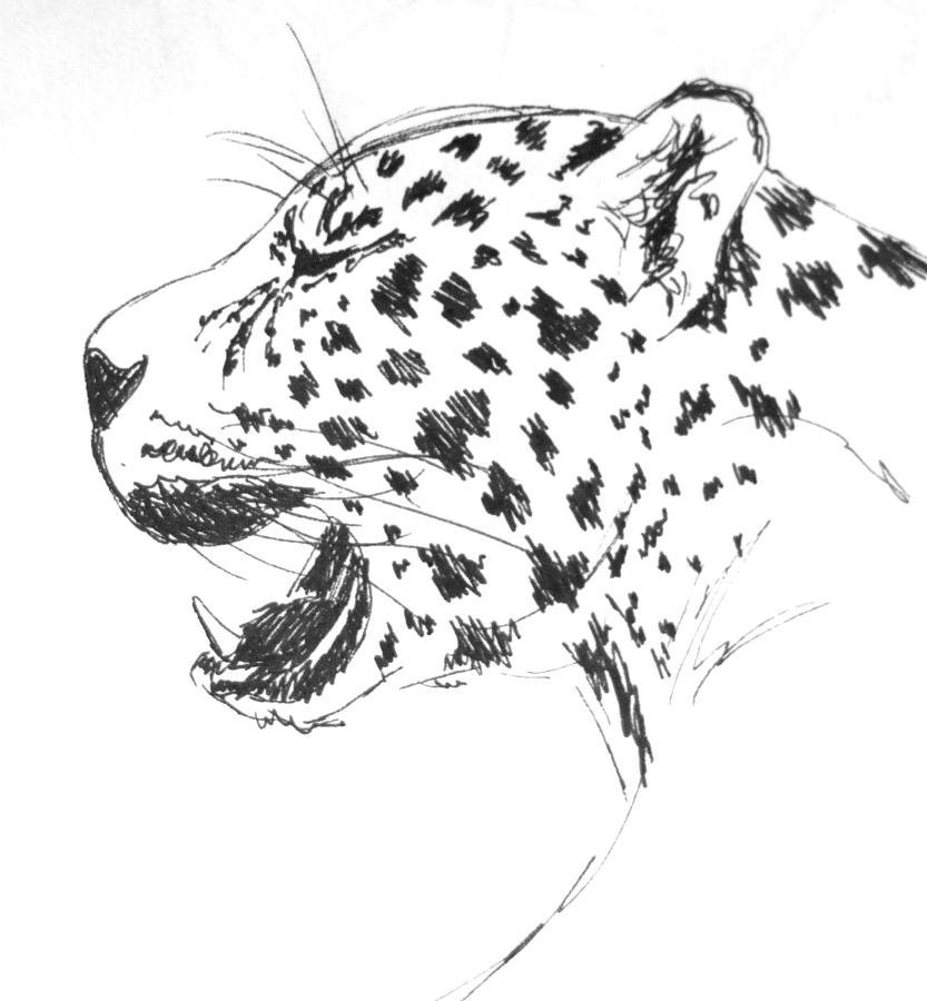 Леопард рисунок простой