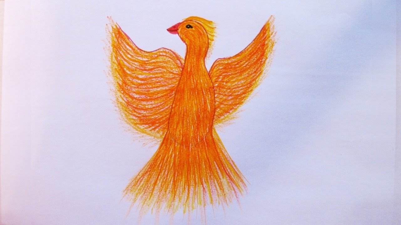 Хвост жар птицы. Птица Феникс для детей. Жар птица иллюстрация. Жар птица рисунок для детей.