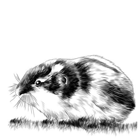 Лемминг раскраска