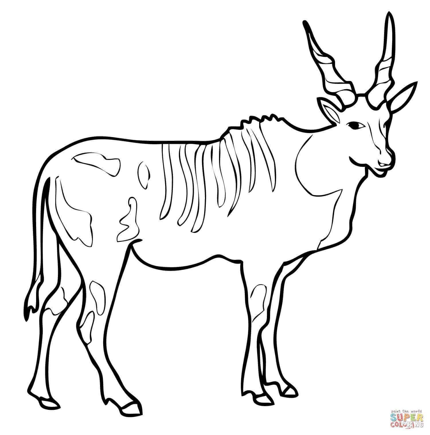 Раскраска антилопа Канна