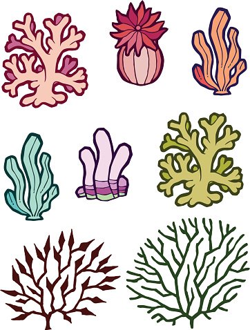 Водоросли для вырезания