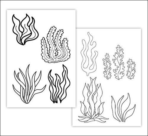 Водоросли рисунок простой (39 фото)