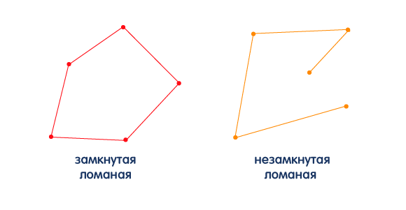 Кривая и прямая линии Луч отрезок ломаная