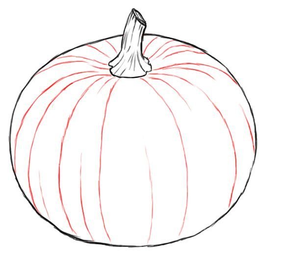 Поэтапное рисование тыквы