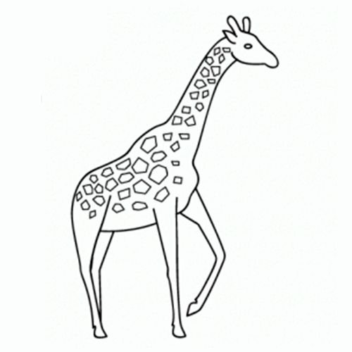 Поэтапное рисование жирафа