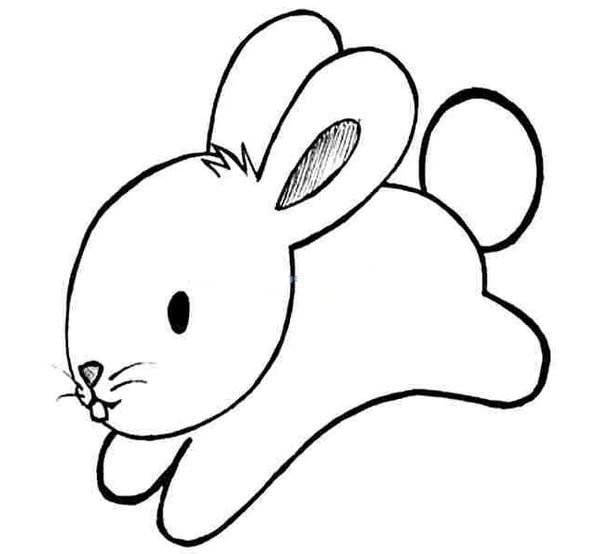 Заяц рисунок легкий