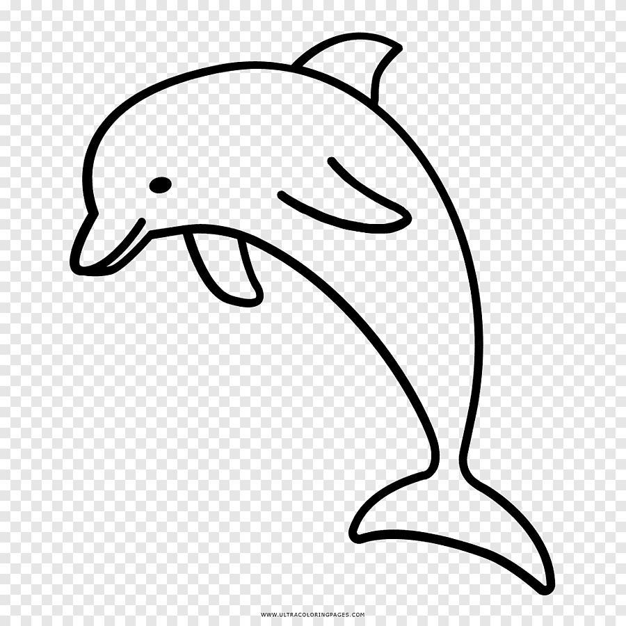 Срисовка дельфина