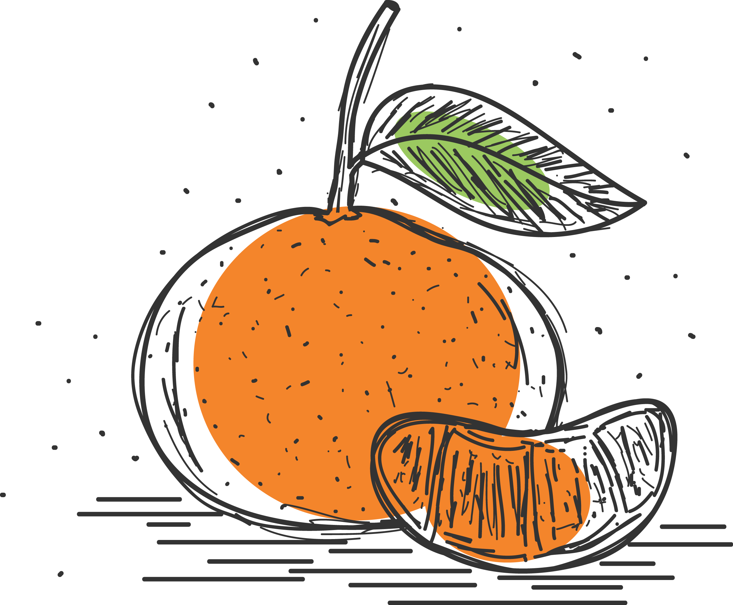 Мандарин Клементин вектор. Мандарин рисунок. Мандарины мультяшные. Апельсин рисунок.