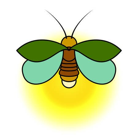 Рисование жучка светлячка