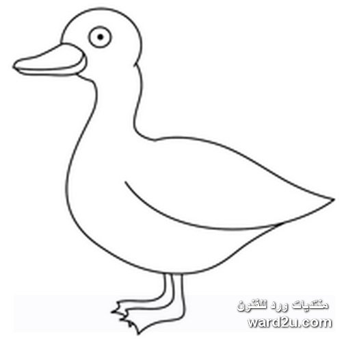 Утка для рисования