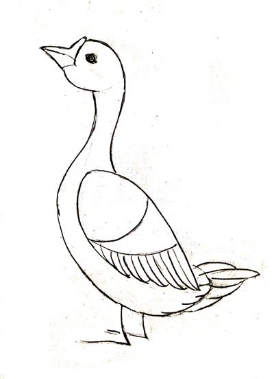 Рисунок простой гусь (49 фото)