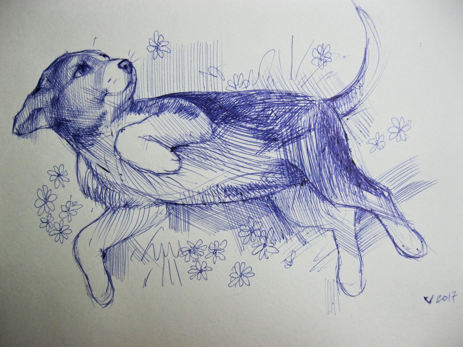 Зарисовка собаки ручкой