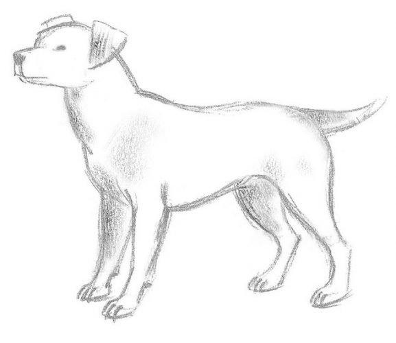 Иллюстрации к рассказу кусака л.н.Андреева