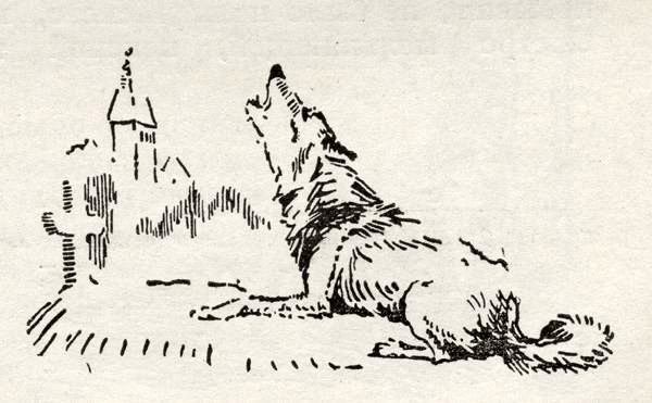 Кусака Леонид Николаевич