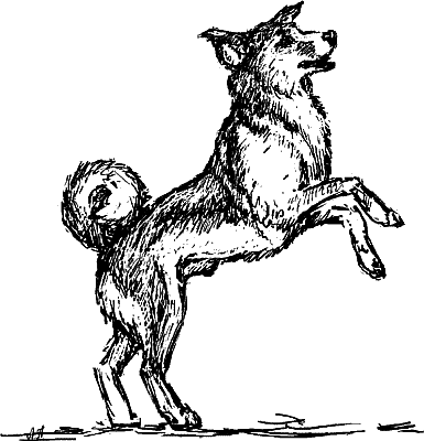 Кудрин Барбоса и Жулька