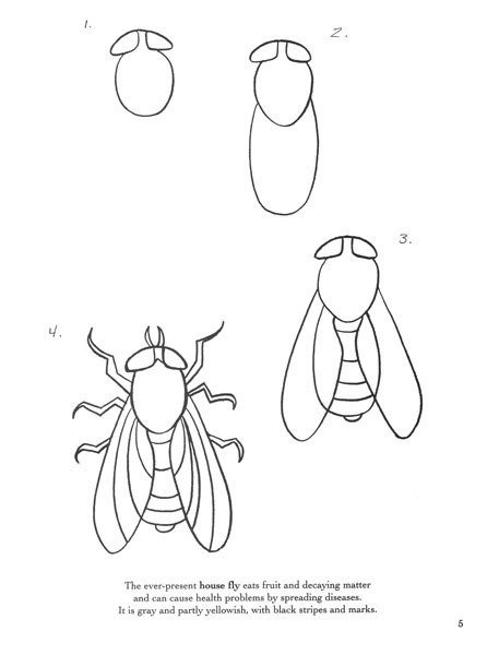 Муха рисунок детский цветными карандашами