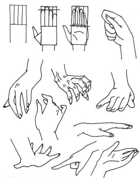 Скетчи рук