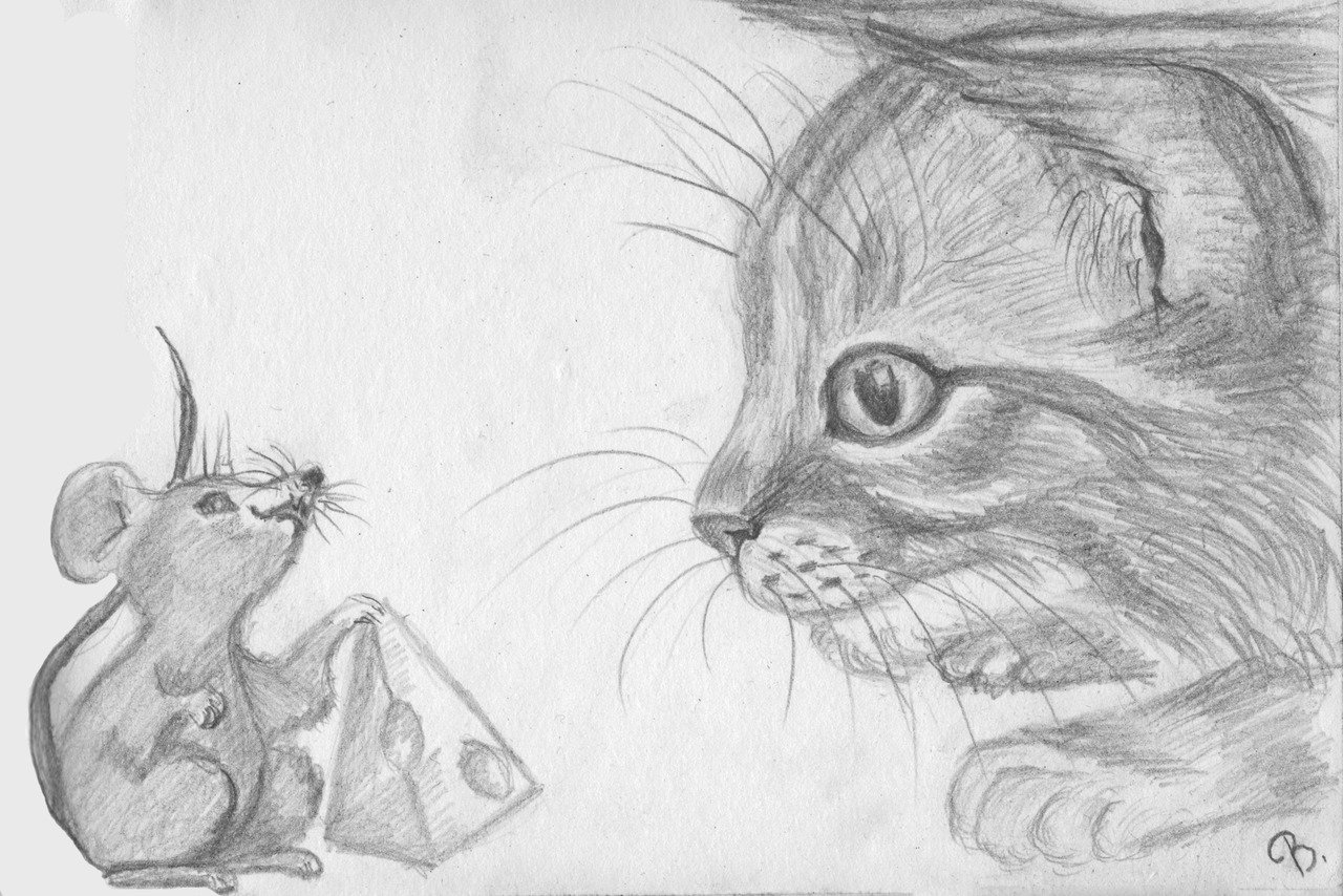 Кот с мышью рисунок
