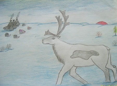 Рисование Северный олень