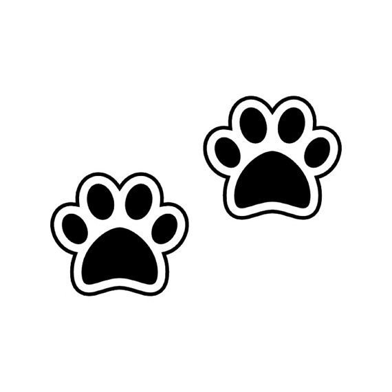 Следы обезьяны