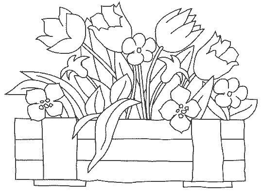 Клумба с цветами раскраска