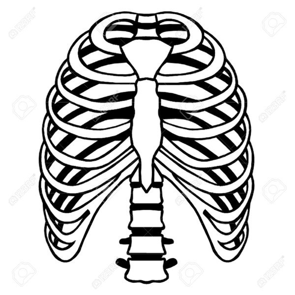 Кости Кощея по отдельности