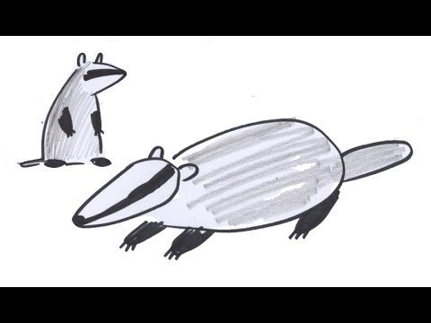 Барсук поэтапное рисование