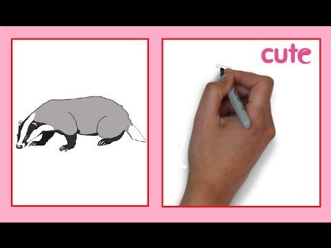 Барсук раскраска для детей