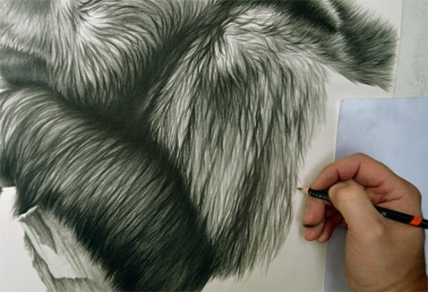 Мех карандашом