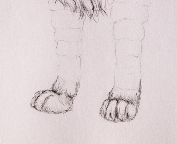 Мех рисунок карандашом