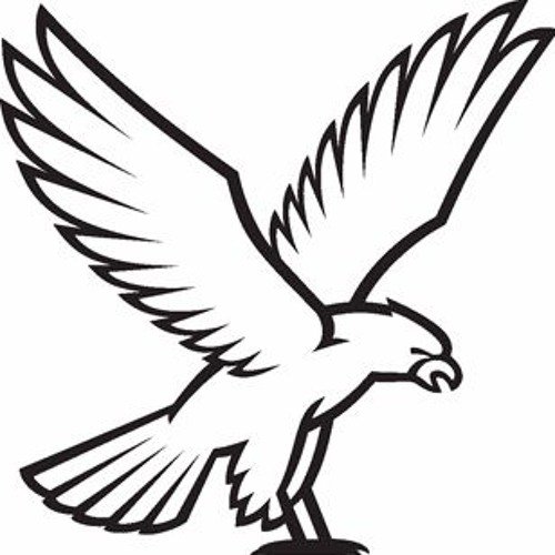 Коршун рисунок