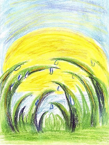 Природа карандашом