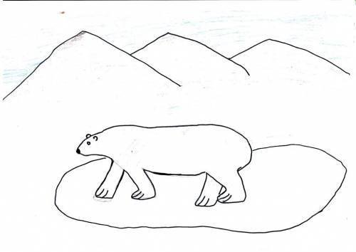 Арктика рисунок карандашом