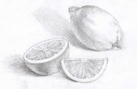 Лимон карандашом
