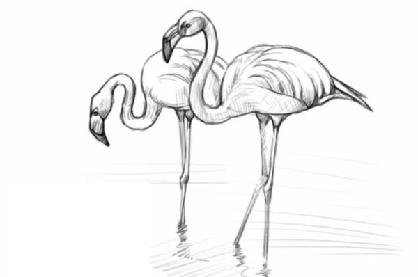 Энкаустика Фламинго