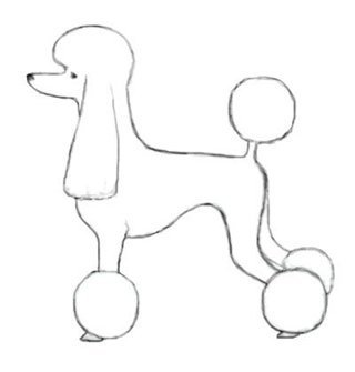 Пудель рисовать