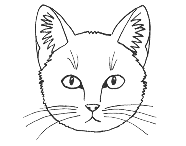 Нарисовать мордочку кота