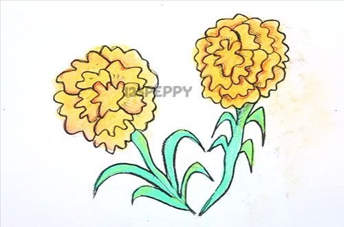 Бархатцы рисование для детей